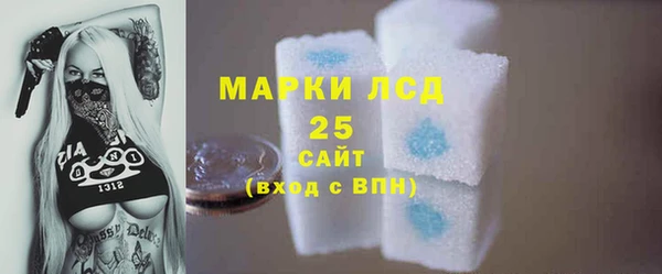 ГАЛЛЮЦИНОГЕННЫЕ ГРИБЫ Гусиноозёрск