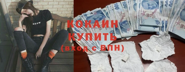 ALPHA PVP Горняк