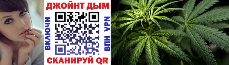 где купить   Омск  Канабис ГИДРОПОН 